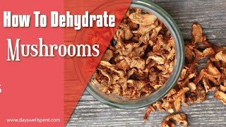 How to Dehydrate Mushrooms [upl. by Stacy]