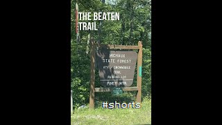 Michaux state forest SHORTS  PA ATVSXS trails for class 1 machines 50quot width limit [upl. by Aidam815]