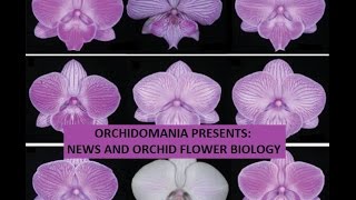 Orchidomania Presents News and Orchid Flower Biology [upl. by Auvil]