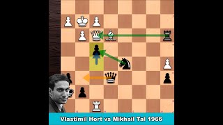 Vlastimil Hort vs Mikhail Tal 1966  Mikhail Tal Best Games [upl. by Esau]