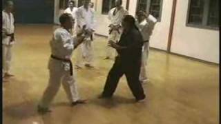 Jim Maloneys IEW Wave Uechi Ryu [upl. by Safire272]