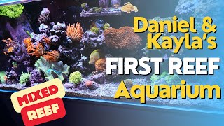 Showing up at Reefers Homes Episode 4 Amazing First Reef Aquarium [upl. by Nevanod437]