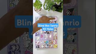 Blind Box Sanrio itsmehasdi diy sanrio kuromi melody cinnamoroll blindbox [upl. by Daza756]