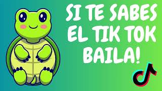 ❤️Si Te Sabes El Tiktok Baila 2024❤️ [upl. by Dorine]