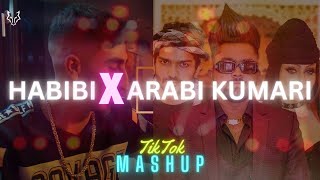 Arabi Kumari x Habibi Mashup  WOLFY REMIX [upl. by Ellmyer]