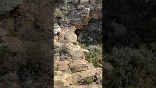 Looking for S Spring in a Semiarid Desert Part 1 Five minutes into the hike [upl. by Elynad]