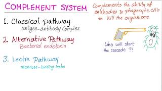 Alternative Complement Pathway [upl. by Annej]