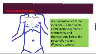 SURGICAL INCISION PART 3 [upl. by Takara]