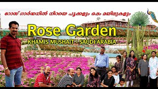 Rose Garden  Khamis Mushait  Jiby George Vlogs [upl. by Ettennil327]