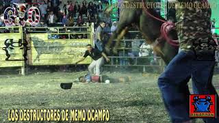 A GOLPAZO  DIOS DEL VIENTO CON CHACAL DE HIDALGO EN CHARCO LARGO GUANAJUATO 2019 [upl. by Furlani]