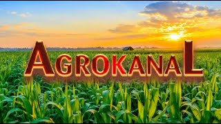 AGROKANAL SADNJA JAGODE U ČELIĆU [upl. by Ecnatsnok]