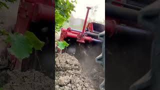 Solis mini tractor solis automobile farming solis26 tarım farmtrac bahçe köy köyhayatı [upl. by Ingold]