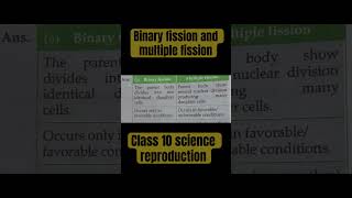 Difference between binary fission and multiple fission [upl. by Airel]