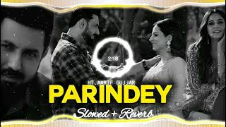 Parindey  SlowedReverb B Praak  Gippy Grewal Sargun Mehta amp Roopi Gill  Avvy Sra [upl. by Kreg]