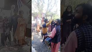 kashmiri dol bast dancerin kashmiri dance shortsvideo viral [upl. by Atnamas]