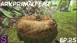 Crafting An S Hatchery  ArkSurvivalEvolved PrimalFear 25 [upl. by Claribel591]