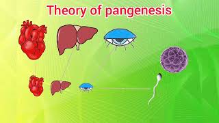 Theory of pangenesis [upl. by Niobe]