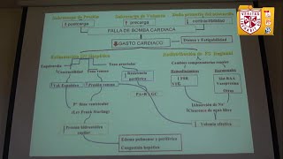 Farmacologia  Inotrópicos [upl. by Mumford991]