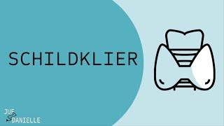 Schildklier en schildklierhormonen [upl. by Trebma]