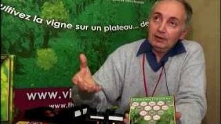 VIGNEN JEU  Apprenez à cultiver la vigne sur un plateau de jeu [upl. by Notsae]