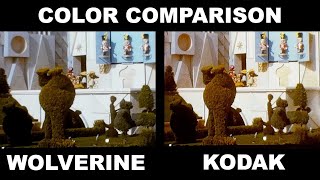 Wolverine VS Kodak 8mm Color Quality Comparison [upl. by Belle410]