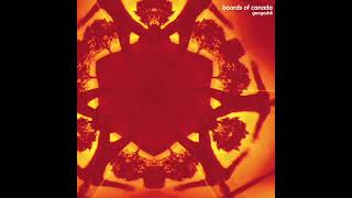 Beware the Friendly Stranger By Boards Of Canada [upl. by Bulley]