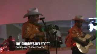 Los Amables de Norte  Recordando a Chalino Sanchez [upl. by Ileane]