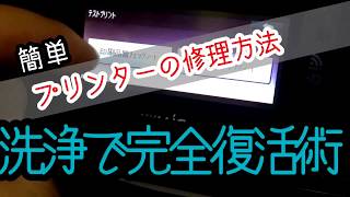 まずはドライヤーで温めろ【完全復活】簡単にバラさないで出来るプリンター洗浄術《前編12 》printer repair重要なのは抜き切る事・ふやかす事 [upl. by Erma586]