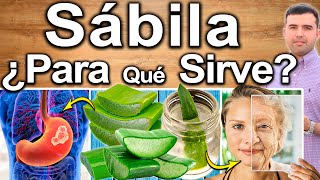 5 beneficios de la sábila o áloe ¿para qué sirve [upl. by Noerb]