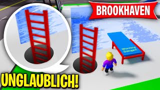 DU KANNTEST noch NICHT ALLE SECRETS 😨 Roblox Brookhaven 🏡RP  Secrets Deutsch [upl. by Llij]