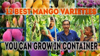 12 Best Mango Varieties you can grow in Container  Pot Growing Mango [upl. by Eenahpets]