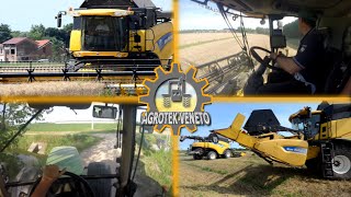 New Holland CR 80709060  Jhon Deere  Renault  Iveco Trebbiatura Frumento 2016 [upl. by Uot]