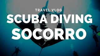 Scuba Diving The Socorro Islands via Liveaboard  Mexico Travel Vlog [upl. by Margaretta]