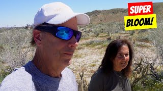 Super Bloom AnzaBorrego Desert State Park California VLOG [upl. by Mieka]