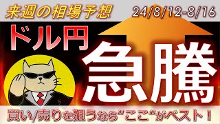 【ドル円最新予想】ドル円の上昇、ここで止まります。注目レートと攻め方を簡単解説！来週の為替相場予想と投資戦略！CPI・小売売上高・日経平均・暴落・急騰・株価に注目24812週【FX】※ [upl. by Ynots207]