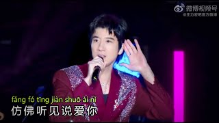 心中的日月 王力宏 Live 动态歌词 LyricsPinyin Wang Leehom Live  Linyi Music Festival 2024 [upl. by Dalt]