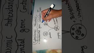 Cytoplasmic inheritance  genetics  CSIR net life science [upl. by Swinton922]