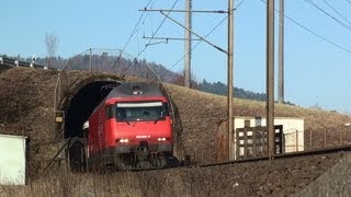 Compilation Of Swiss TrainsSBBZüge [upl. by Ytomit]