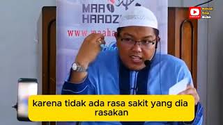 Apakah Kuas dari Bulu Babi Najis  Ustadz DrFiranda AndirjaMA [upl. by Eoj]