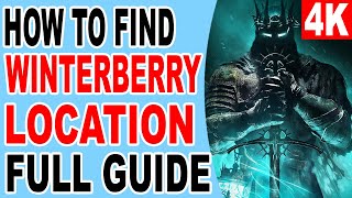 How to Find Winterberry Location  Why Byron Winterberry NPC Quest is Gone Bug  Lords of the Fallen [upl. by Ynattir]