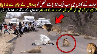 Namaz Ke Doran Sher Aya To Phr Kya Hua [upl. by Einnahpets]