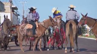 Achamos no Brasil Samukinha foi conferir a maior cavalgada do mundo [upl. by Arenat]