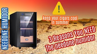 3 Reasons You NEED THIS Humidor [upl. by Vassaux]