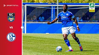 Elfmeterdrama und erster Saisonsieg  SC Wiedenbrück vs FC Schalke 04 U23  Regionalliga West [upl. by Hnoj]