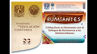 Colibacilosis en Rumiantes con el Enfoque de Resistencia a los Antimicrobianos [upl. by Odla]