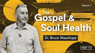 The Gospel and Soul Health  Part 17 [upl. by Aibat657]