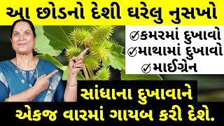 કમરમાં દુખાવો  માથામાં દુખાવો  સાંધાના દુખાવા  Back pain  Headache  Joint pain  migraine [upl. by Oatis]