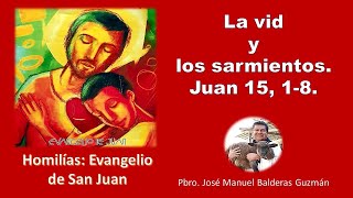 La vid y los sarmientos Juan 15 18 [upl. by Yednarb844]