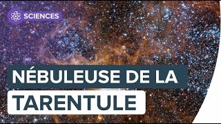 La nébuleuse de la Tarentule dévoile son cortège d’astres et de nuages  Futura [upl. by Llenrac]