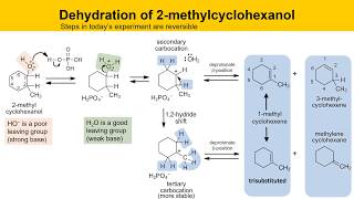 Dehydration of 2Methylcyclohexanol Experiment Part 1 Prelab Lecture [upl. by Mistrot358]